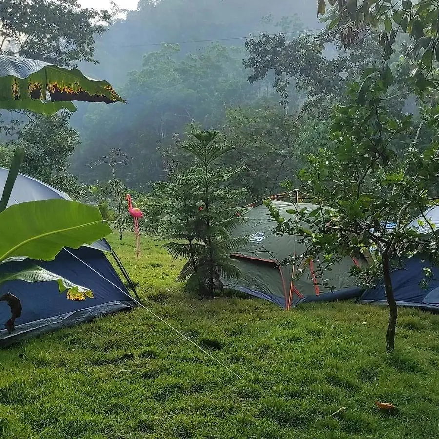 Room In Lodge - Lechuza River Campingcamping House contacts